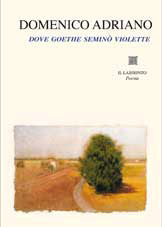 Copertina di Dove Goethe seminò violette
